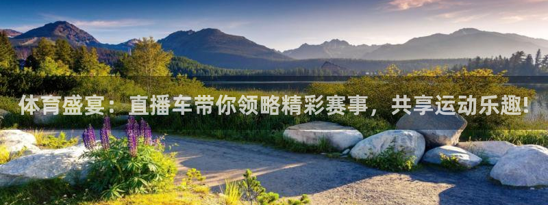 斗球体育直播网页