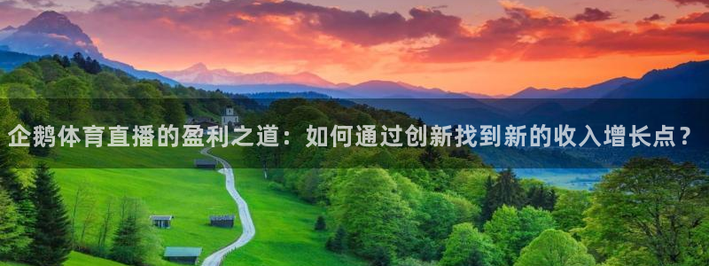 斗球体育app下载官网：企鹅体育直播的盈利之道：如何通过创新找到新的收入增长点？