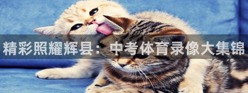 nba直播斗球