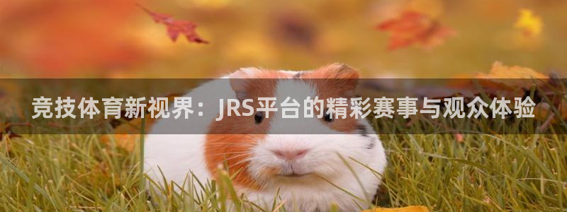 斗球免费直播平台：竞技体育新视界：JRS平台的精彩赛事与观众体验
