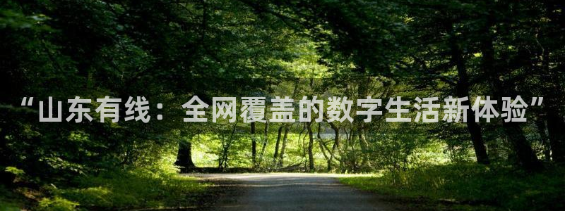 斗球直播体育在线观看：“山东有线：全网覆盖的数字生活新体验”