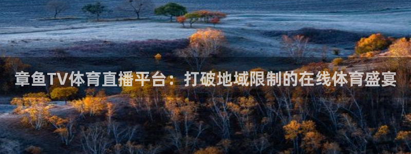 斗球足球直播app下载：章鱼TV体育直播平台：打破地域限制的在线体育盛宴