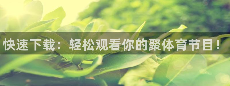 斗球体育直播在线观看电脑版免费：快速下载：轻松观看你的聚体育节目！