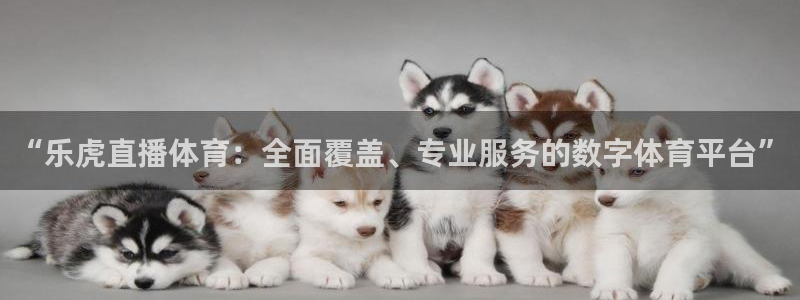 斗球直播安卓版：“乐虎直播体育：全面覆盖、专业服务的数字体育平台”