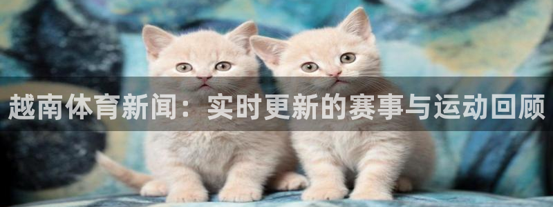 斗球足球直播app下载：越南体育新闻：实时更新的赛事与运动回顾