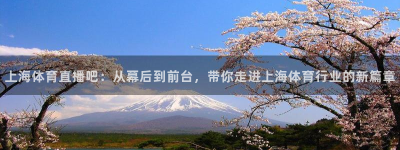 斗球体育主播：上海体育直播吧：从幕后到前台，带你走进上海体育行业的新篇章